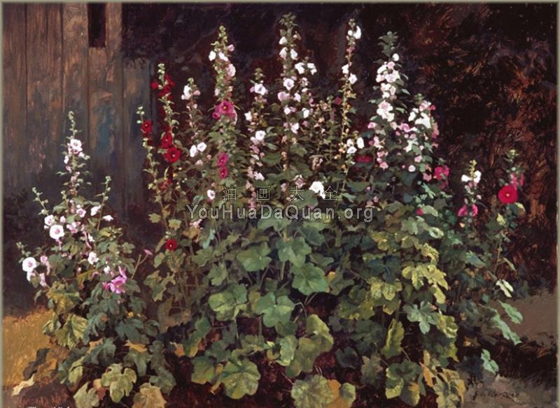 Hollyhocks - 威廉·惠特克